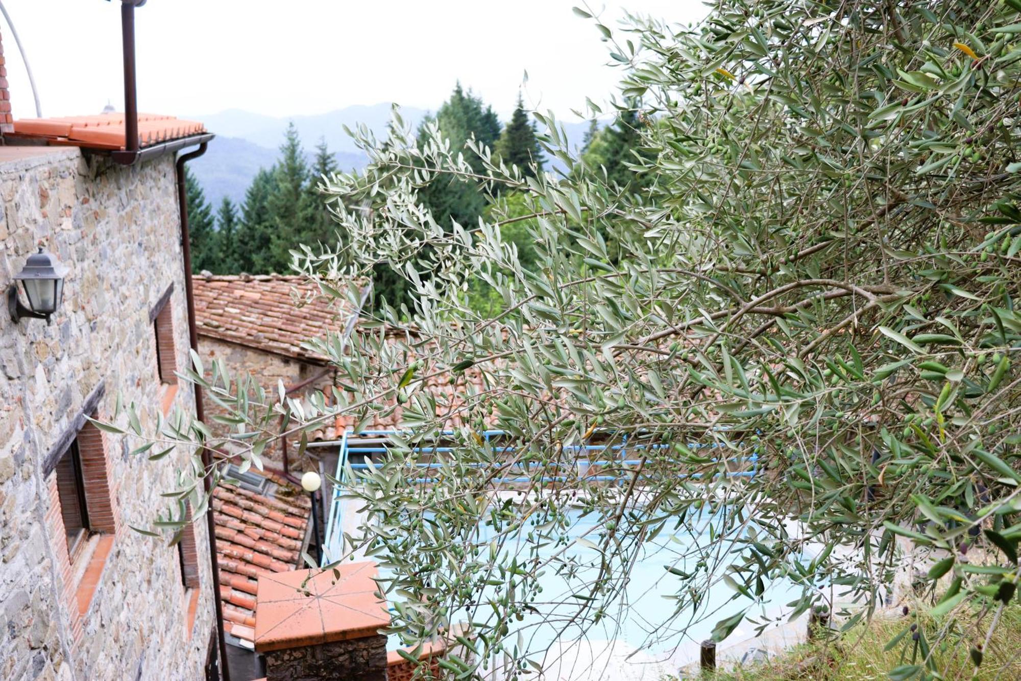 Carpe Diem Colognora Villa Vetriano Exteriör bild